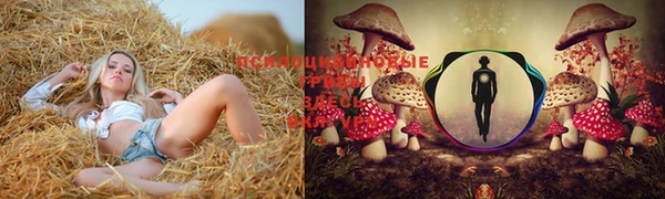 соль курить ск Бугульма